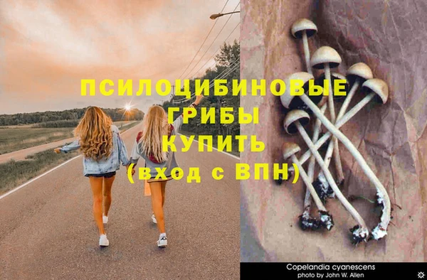 трава Белоозёрский