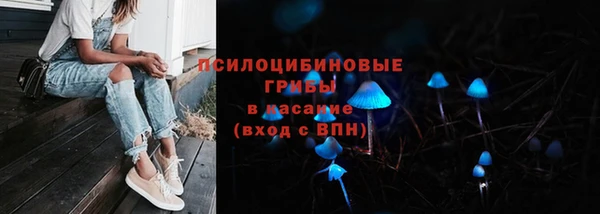 амфетамин Белокуриха