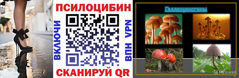 Галлюциногенные грибы прущие грибы Макаров
