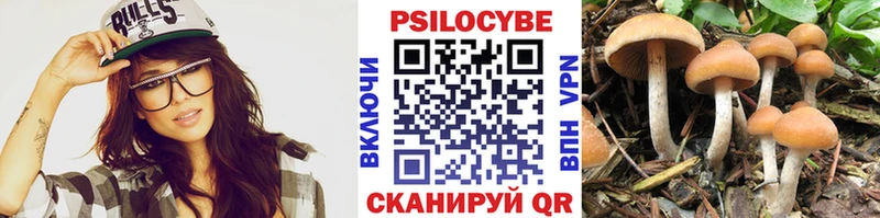 Псилоцибиновые грибы прущие грибы  Макаров 