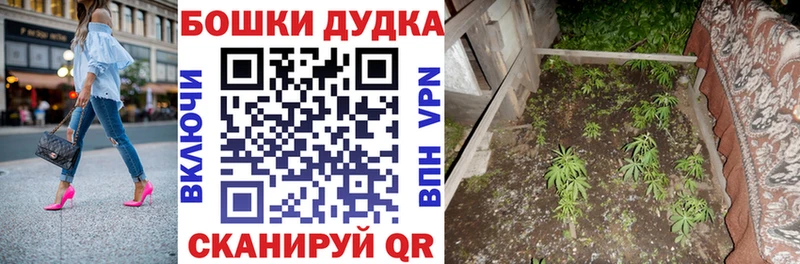 Конопля LSD WEED Макаров